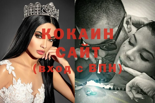 гашик Новодвинск