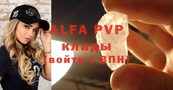 гашик Новодвинск