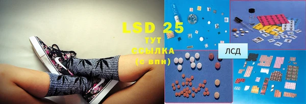 гашик Новодвинск