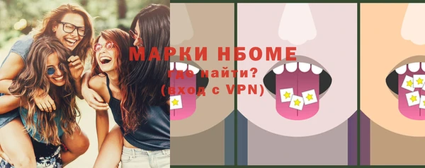 гашик Новодвинск