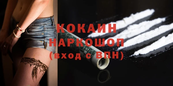 гашик Новодвинск