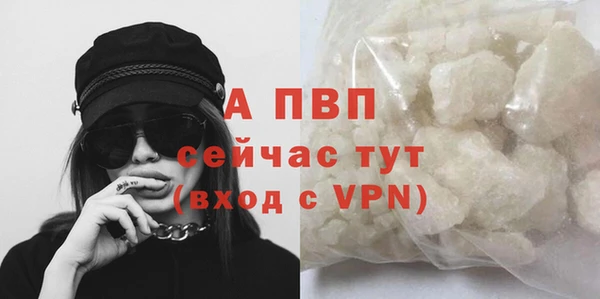 гидра Новокубанск