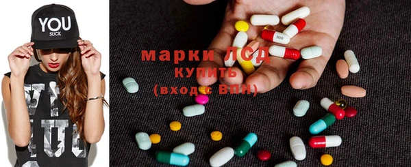 спиды Бородино
