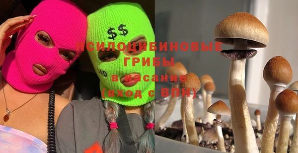 гашик Новодвинск