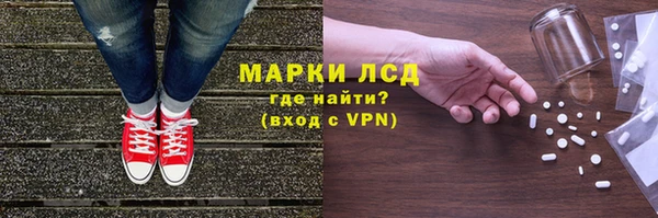 гашик Новодвинск