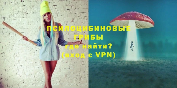гашик Новодвинск