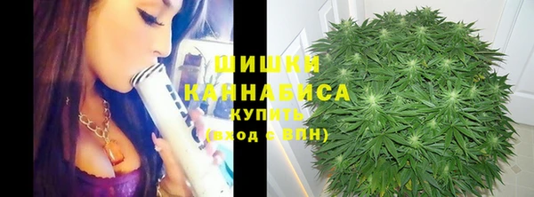 круглые Няндома